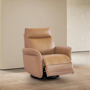 现代极简·休闲椅·CLJ-SN-X-329W·电动休闲椅